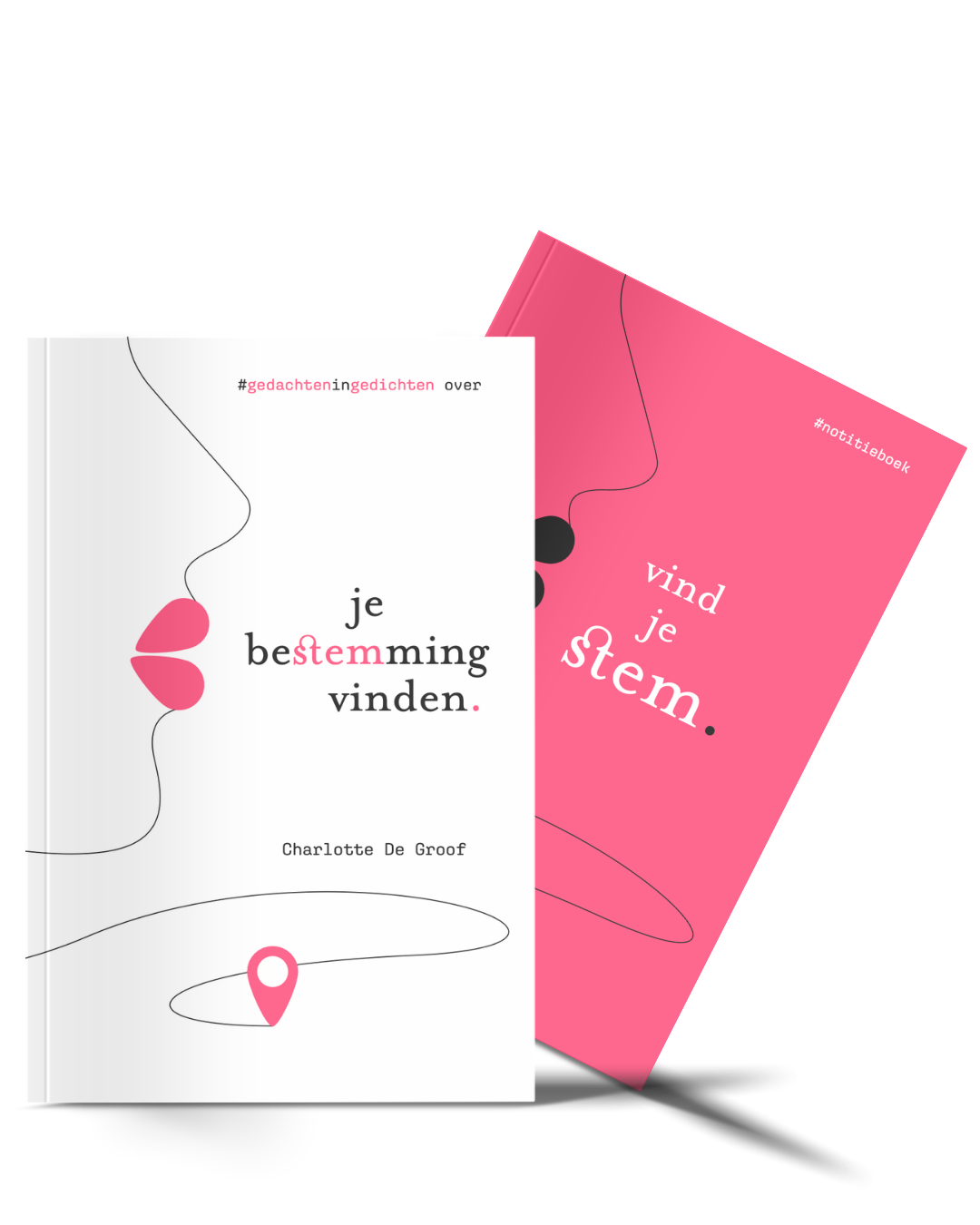 Je bestemming vinden – Boekbundel