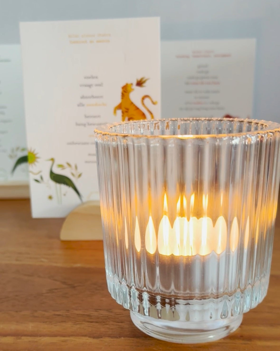 Reis door je lijf Kaartbundel