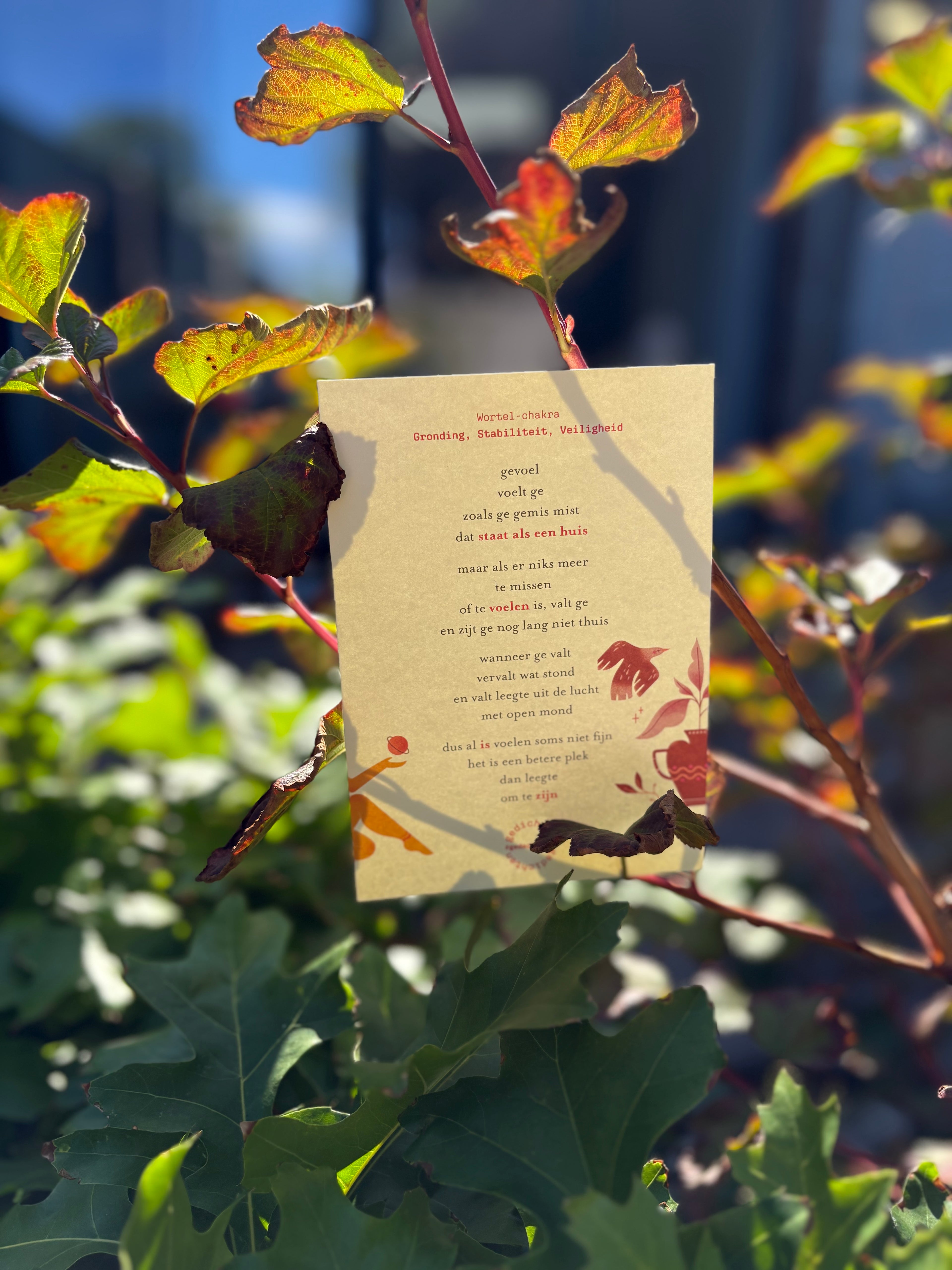 Reis door je lijf Kaartbundel